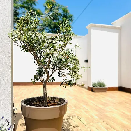 La Maison D'isabelle Bari